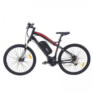 S6-Z2 EBIKE